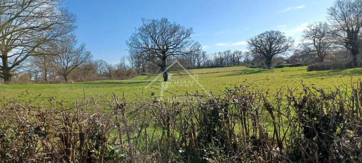 Terrain à LIMOISE