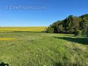 Terrain à EPERNON