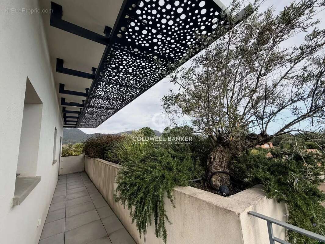 Appartement à ZONZA