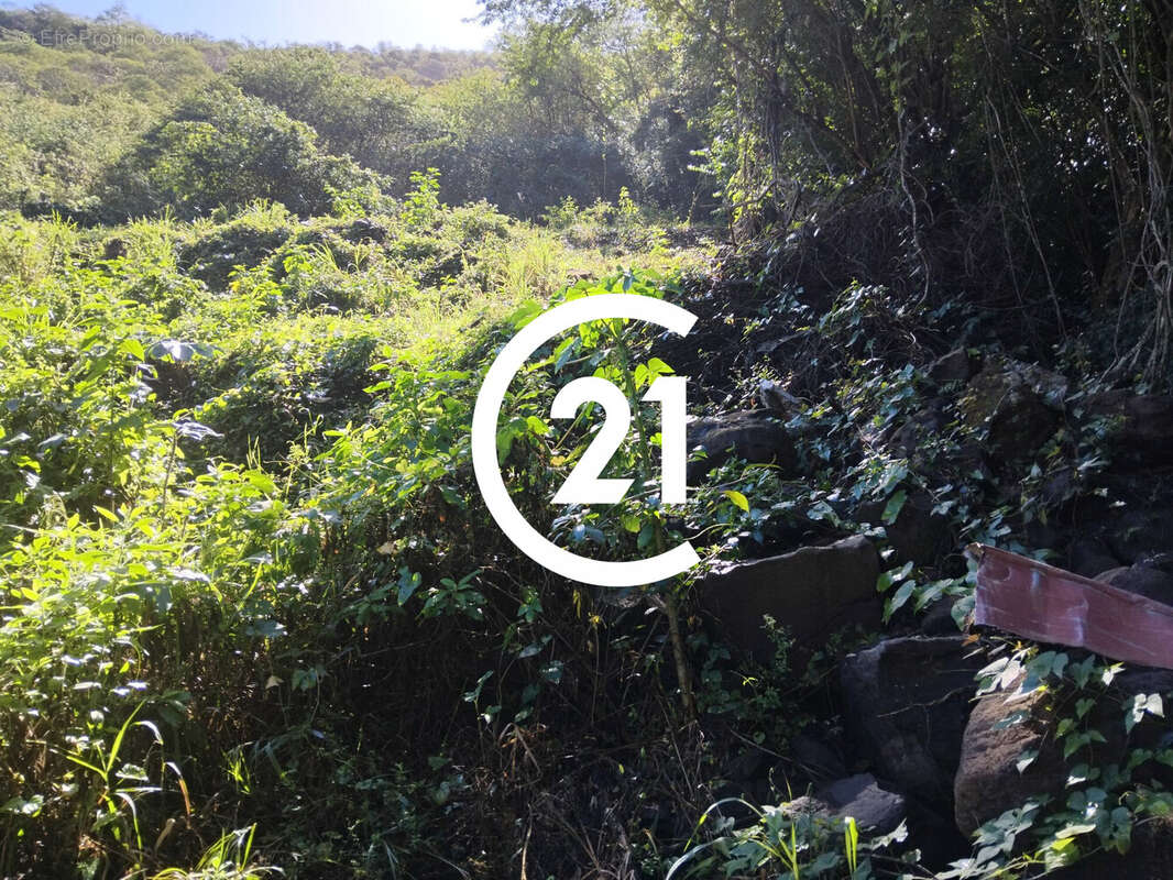 Terrain à BELLEFONTAINE