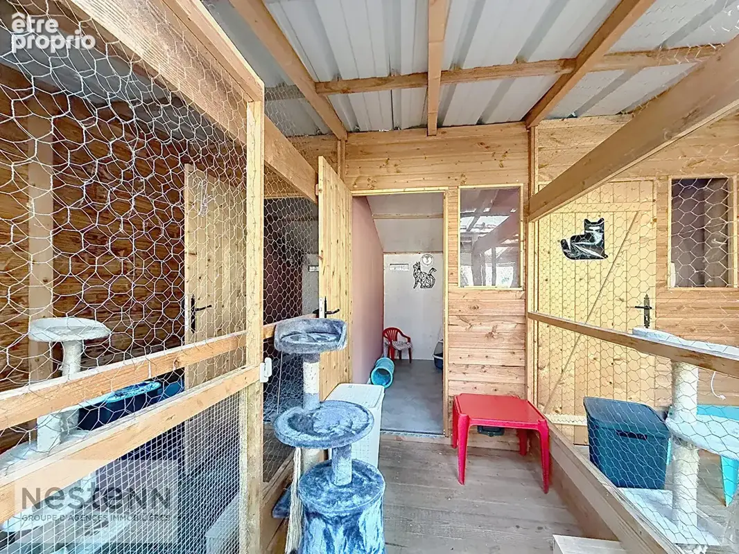 Pension Canine et Maison spacieuse à vendre à Sallertaine avec piscine et grand terrain - photo 19