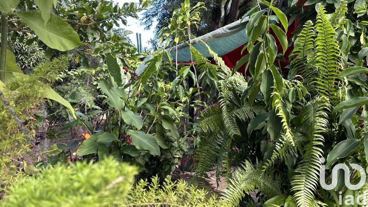 Photo 2 - Maison à L'ETANG-SALE