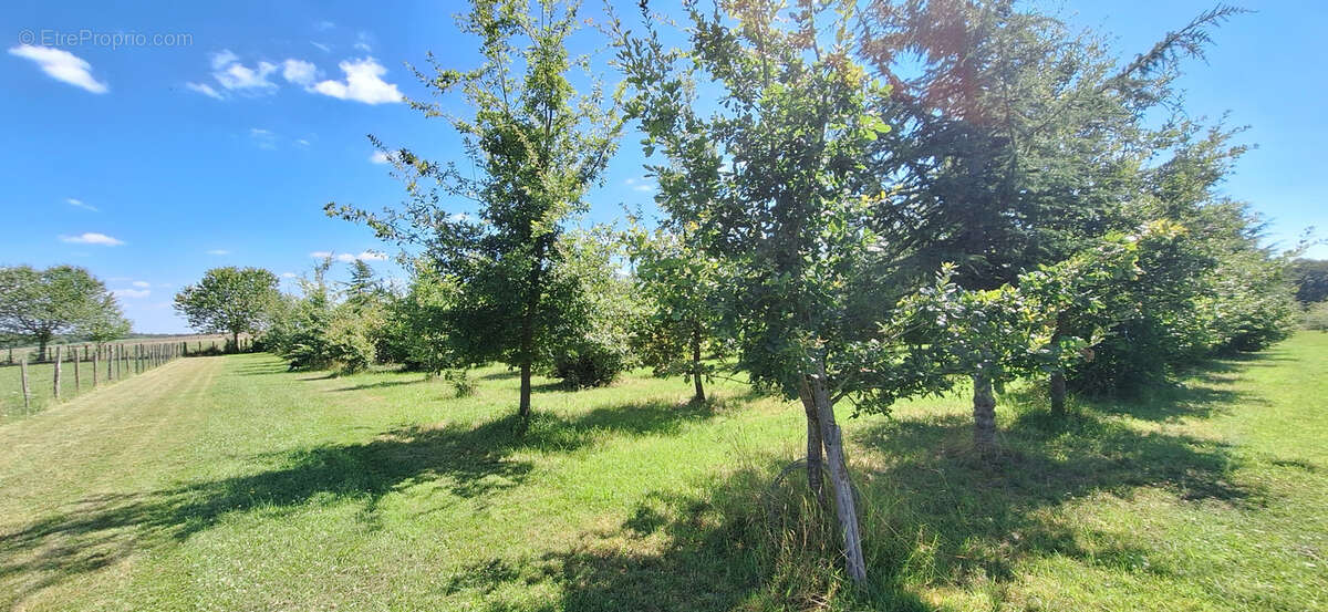 Maison à BUSSY-EN-OTHE