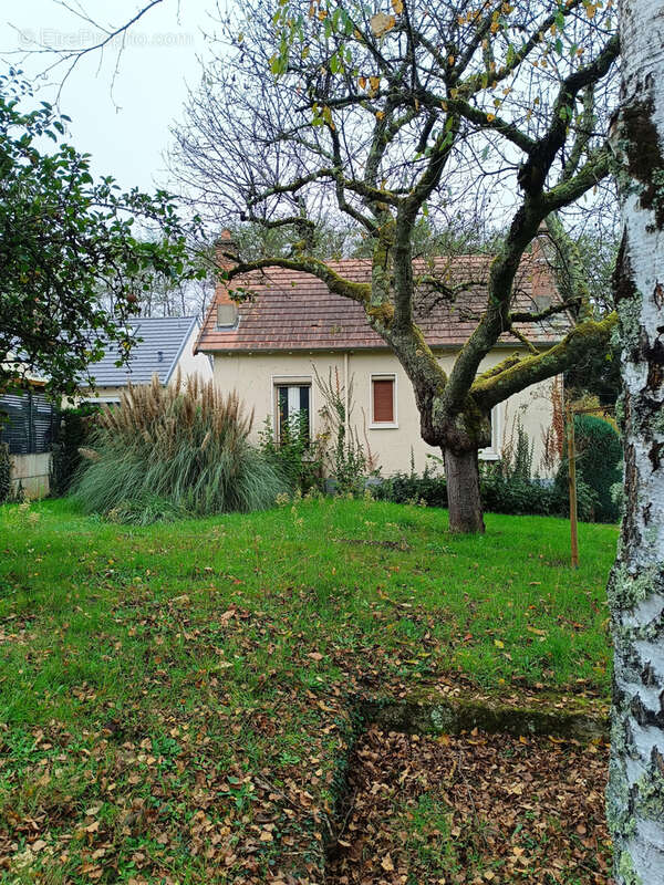 Maison à VIERZON