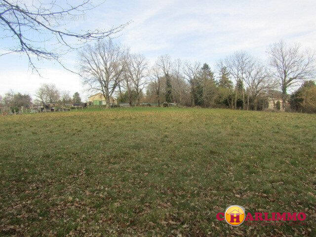 Terrain à CHABANAIS