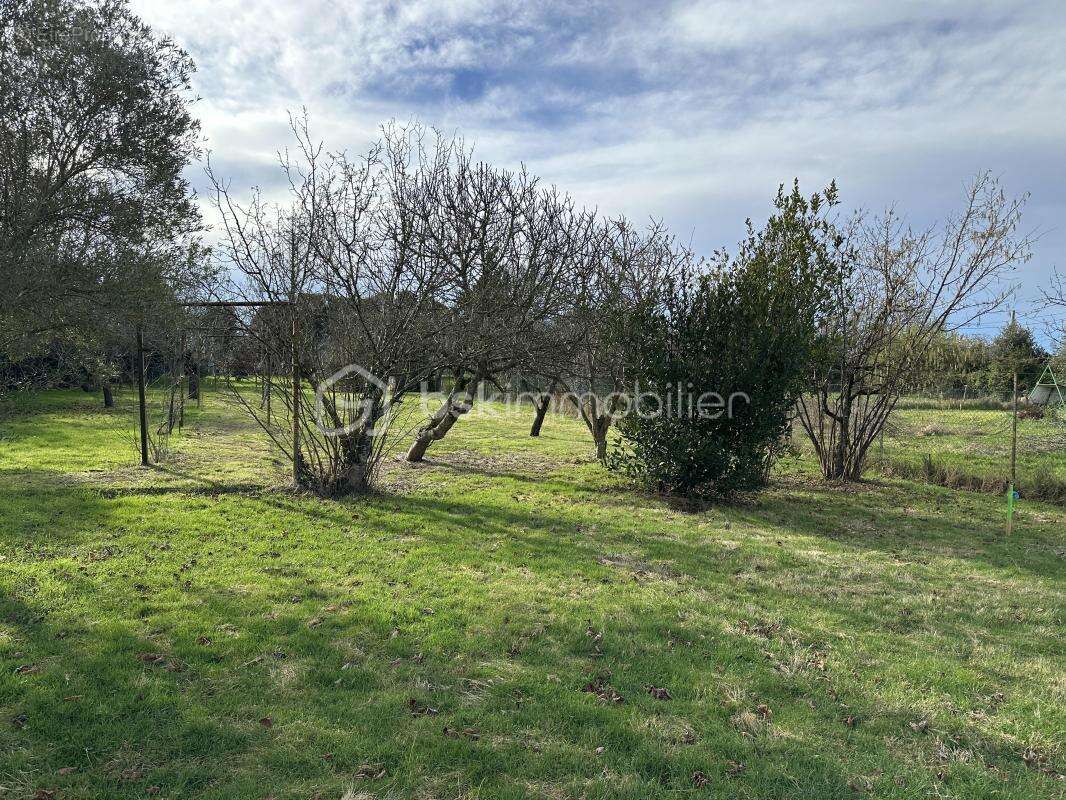 Terrain à LEVIGNAC