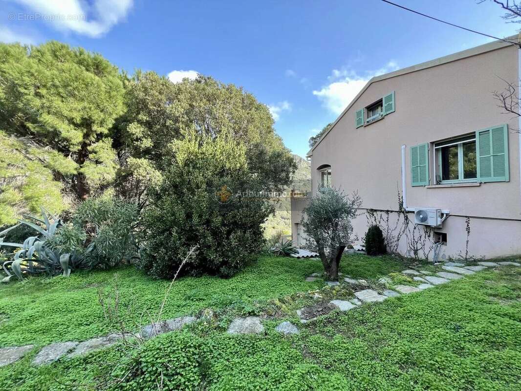 Maison à VILLE-DI-PIETRABUGNO