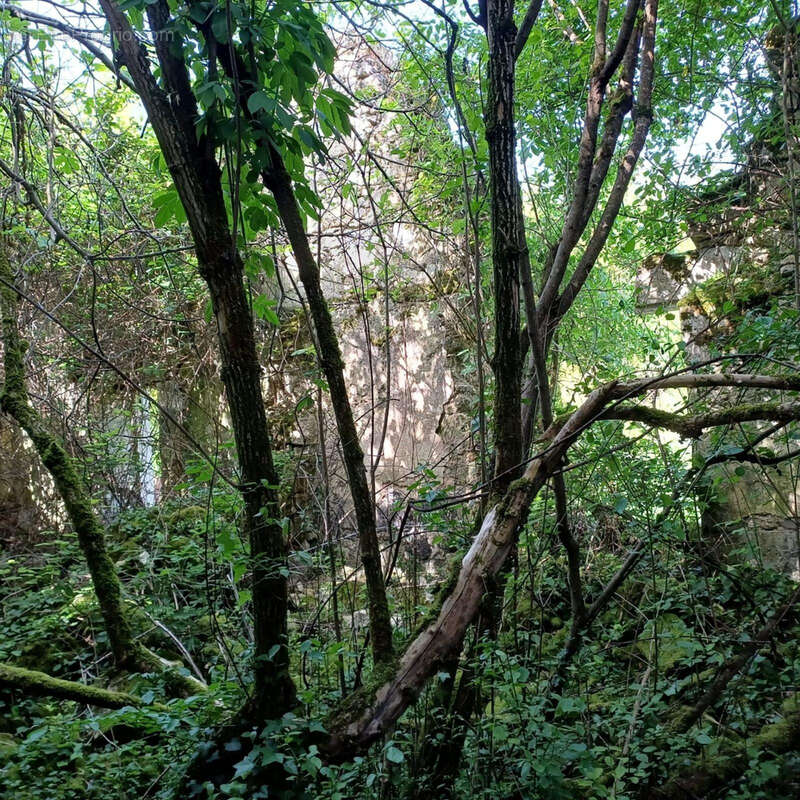 Ancienne Maison de Maître terre et bois 6 Ha - photo 7