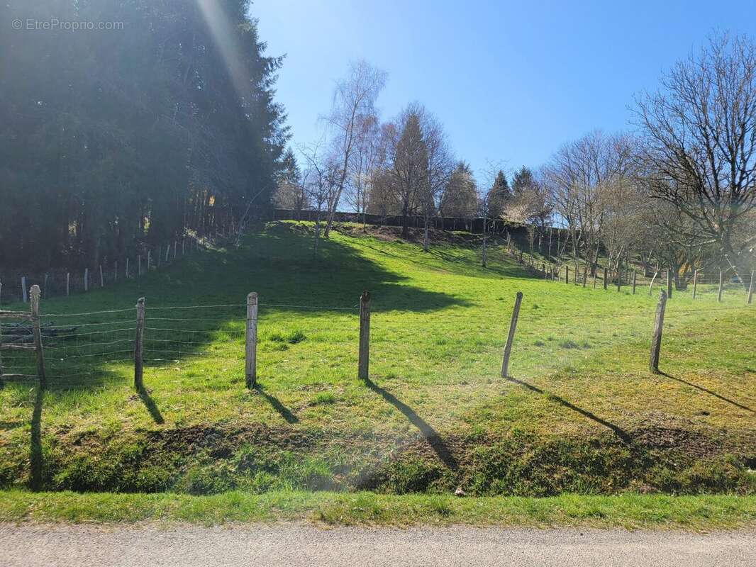 Terrain à SAUVIAT-SUR-VIGE