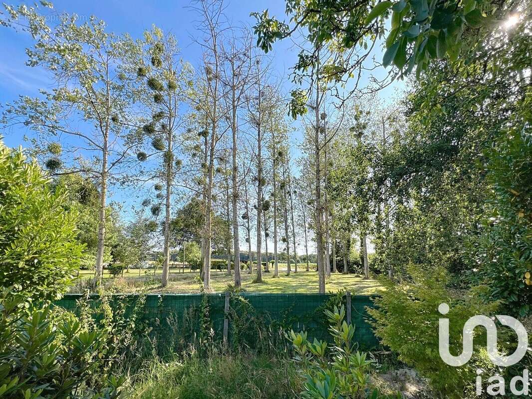 Photo 4 - Maison à ANTRAIN