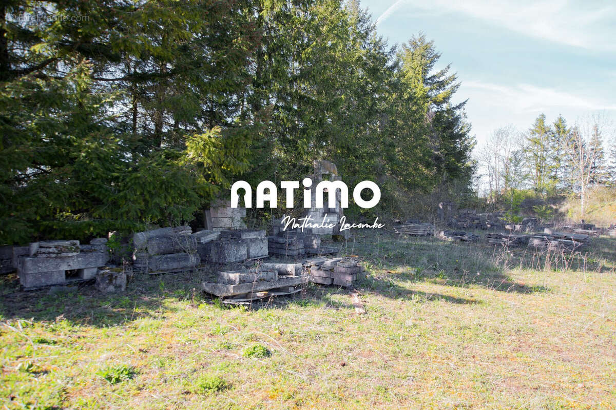 Commerce à BAIGNEUX-LES-JUIFS