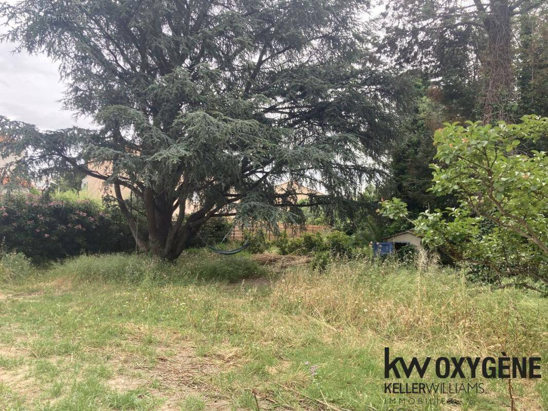 Terrain à PERPIGNAN