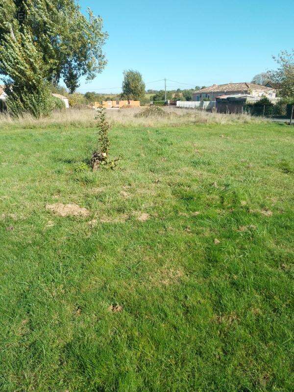Terrain à ALBI