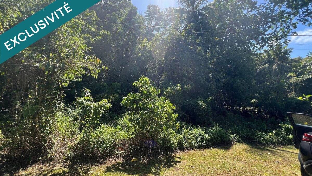 Photo 1 - Terrain à LE GOSIER