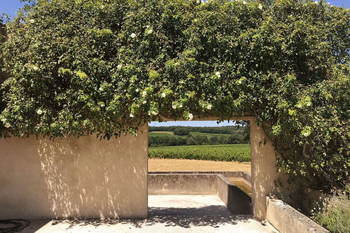 Paradis caché au milieu des vignes - photo 9