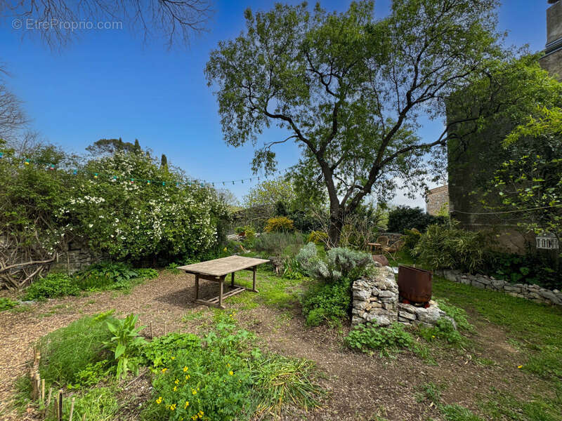 Maison à VIOLS-LE-FORT