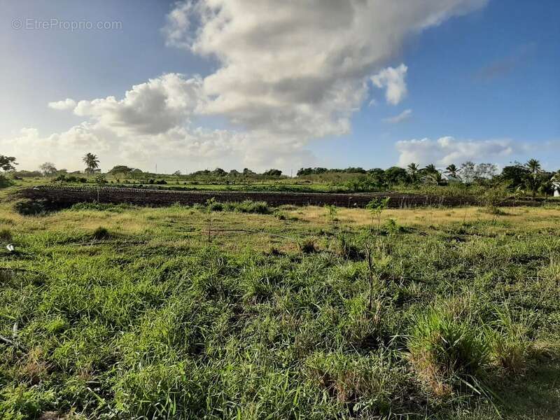 Dpt Guadeloupe (971), à vendre SAINT FRANCOIS maison P5 de 134,03 m² - Terrain de 8 528,00 m² - Plain pied - photo 8