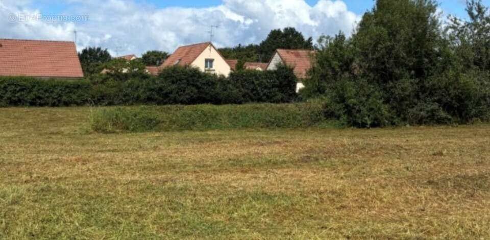 Terrain 478 m² à Joue-L'abbe  - photo 2