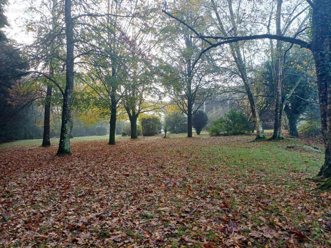 Propriété - photo 10