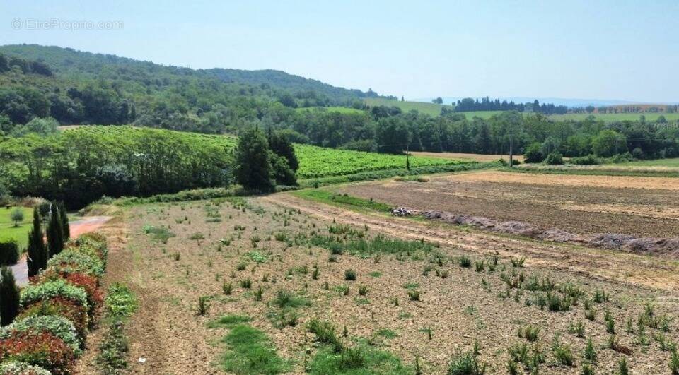 Terrain à SAINT-MARTIN-DE-VILLEREGLAN