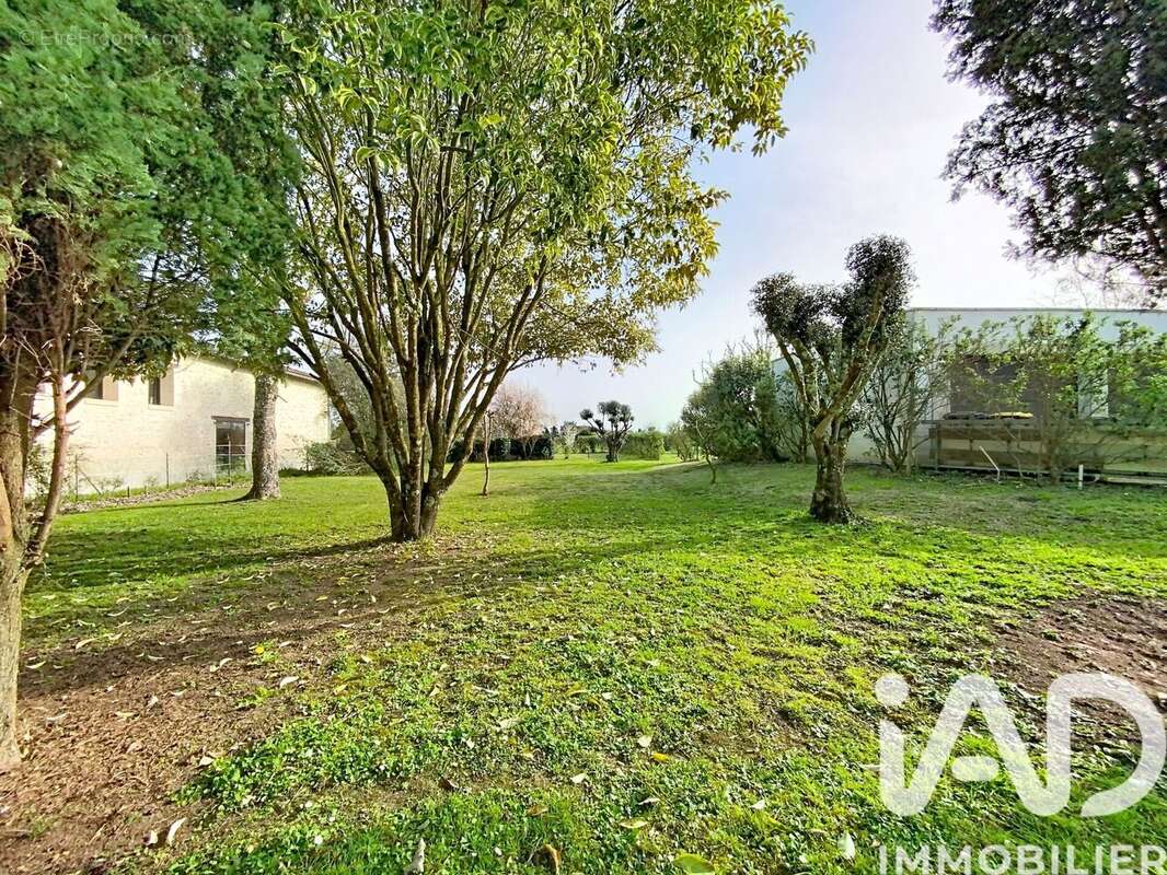 Photo 2 - Terrain à CERONS