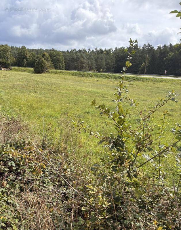 Terrain à REYERSVILLER