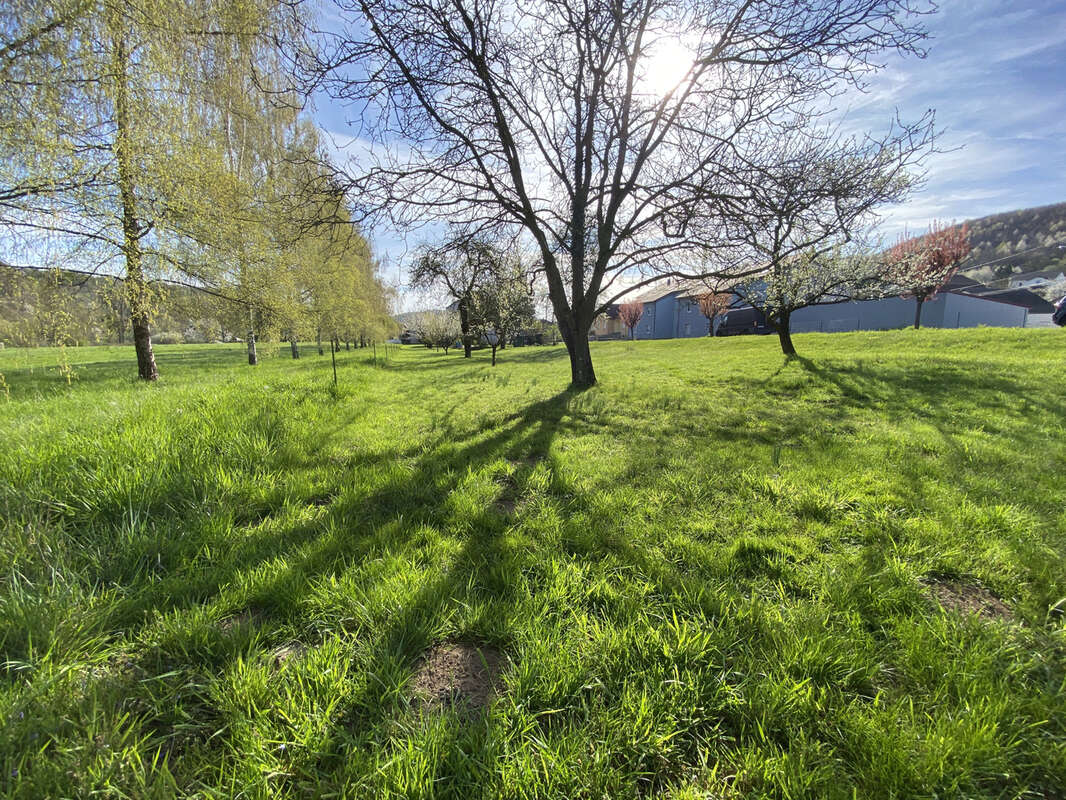 Terrain à HARGARTEN-AUX-MINES