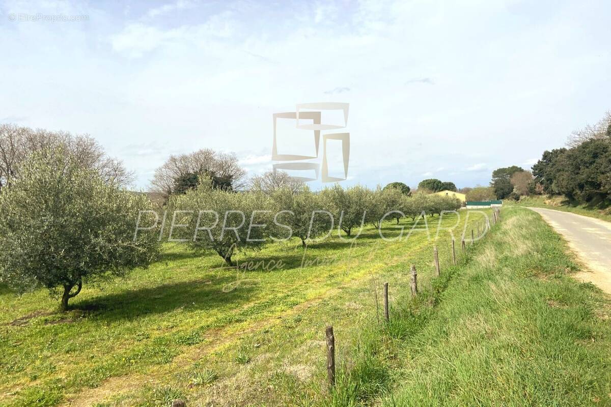 Terrain à SAINT-MAXIMIN
