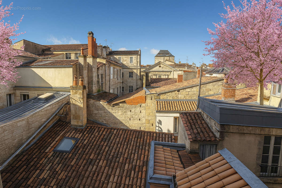 Commerce à BORDEAUX