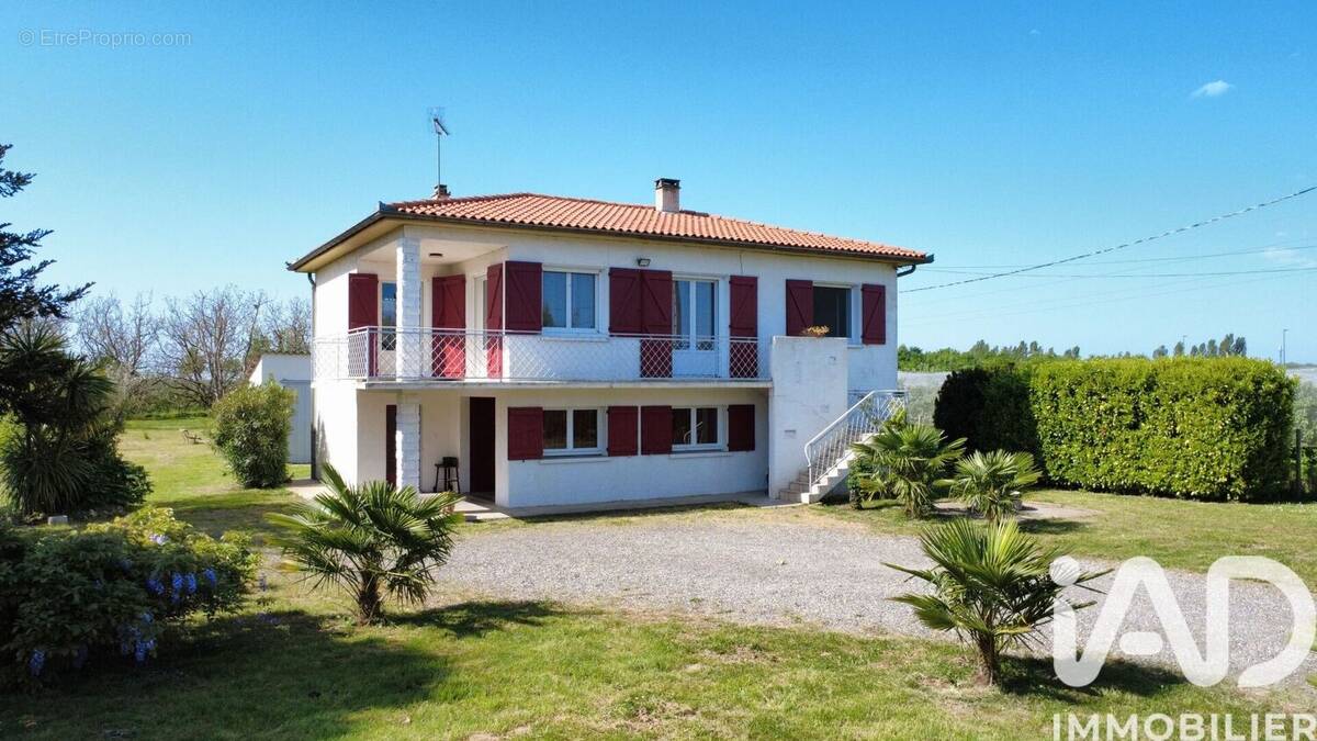 Photo 1 - Maison à MOISSAC