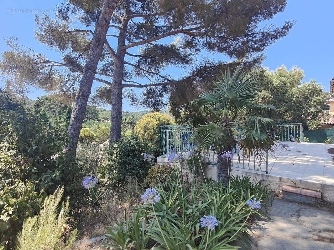 Maison à LE PRADET