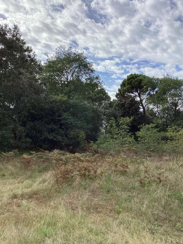 Terrain à LE VERDON-SUR-MER