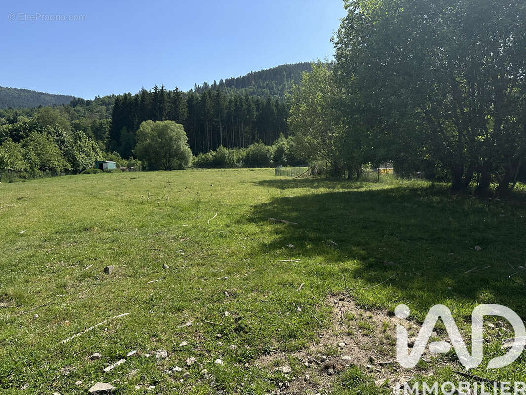Photo 4 - Terrain à SAULXURES-SUR-MOSELOTTE