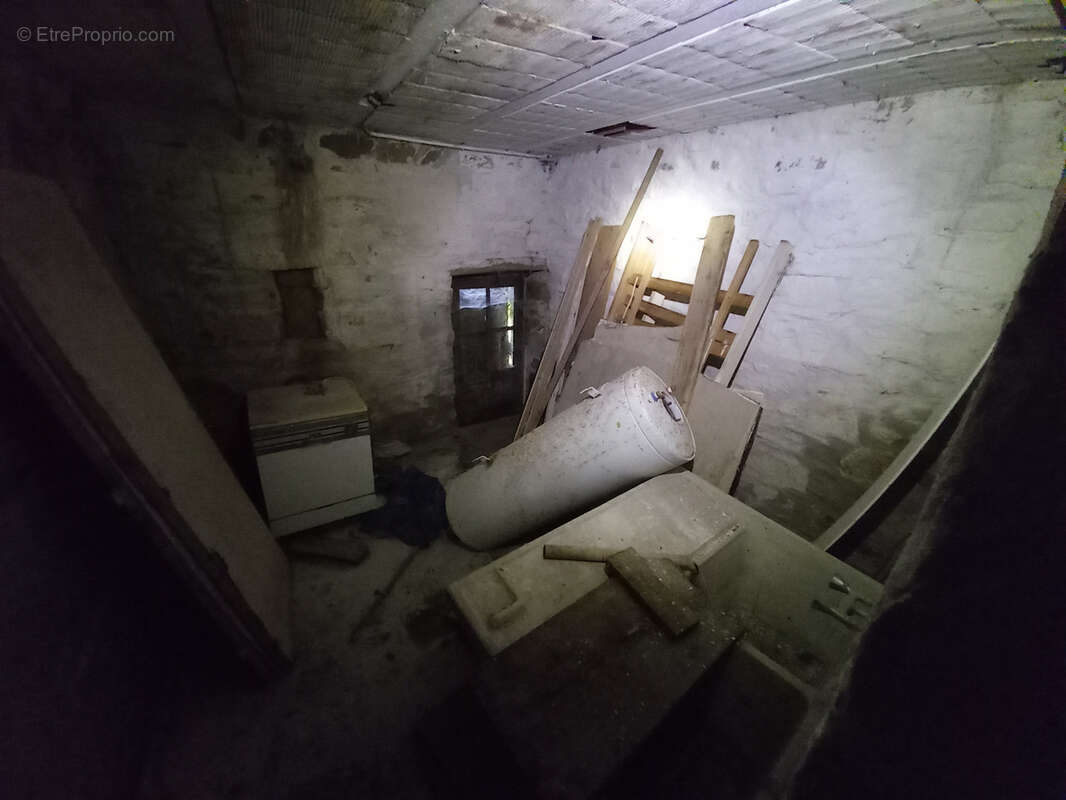 Unique ! ancienne Ferme à rénover sur 15Ha de patures et bois . - photo 46