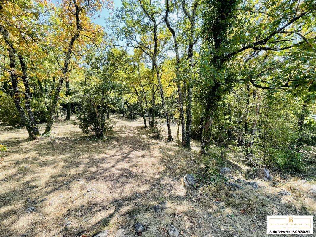 Maison à SAINT-CEZAIRE-SUR-SIAGNE