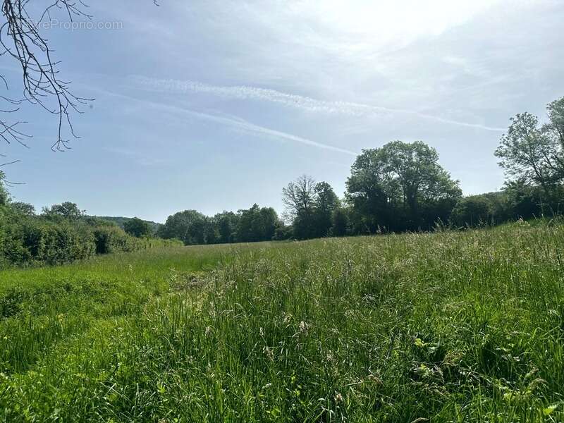 Ensemble de granges et terres – plus de 7 hectares – entre pouilly-en-auxois et saulieu - photo 19