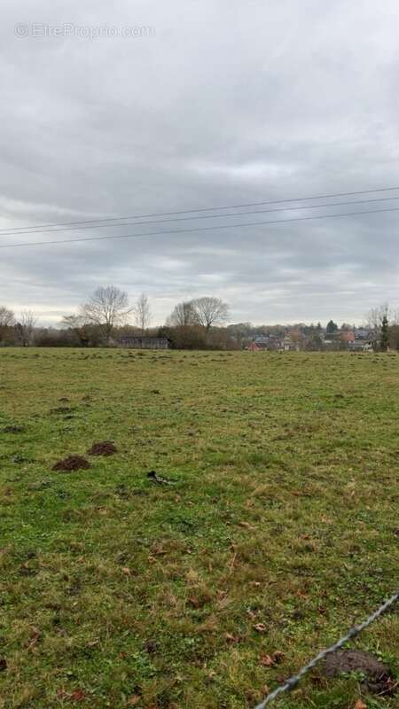 Terrain 462 m² à Forges-Les-Eaux  - photo 2