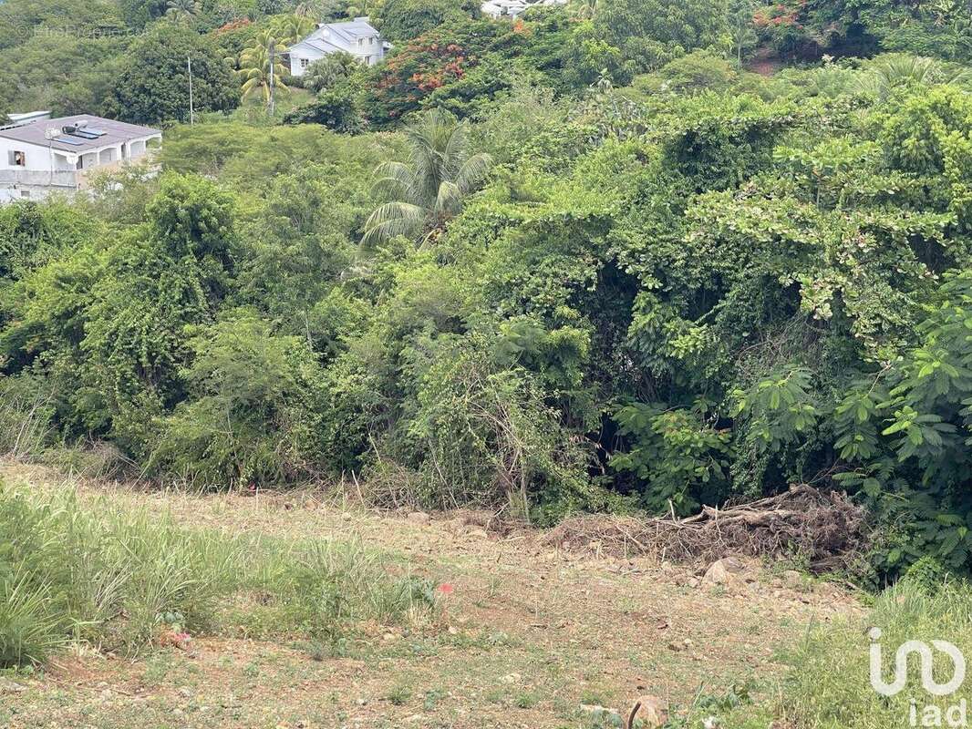 Photo 5 - Terrain à VIEUX-HABITANTS