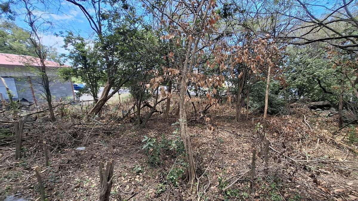 Terrain à BOUILLANTE