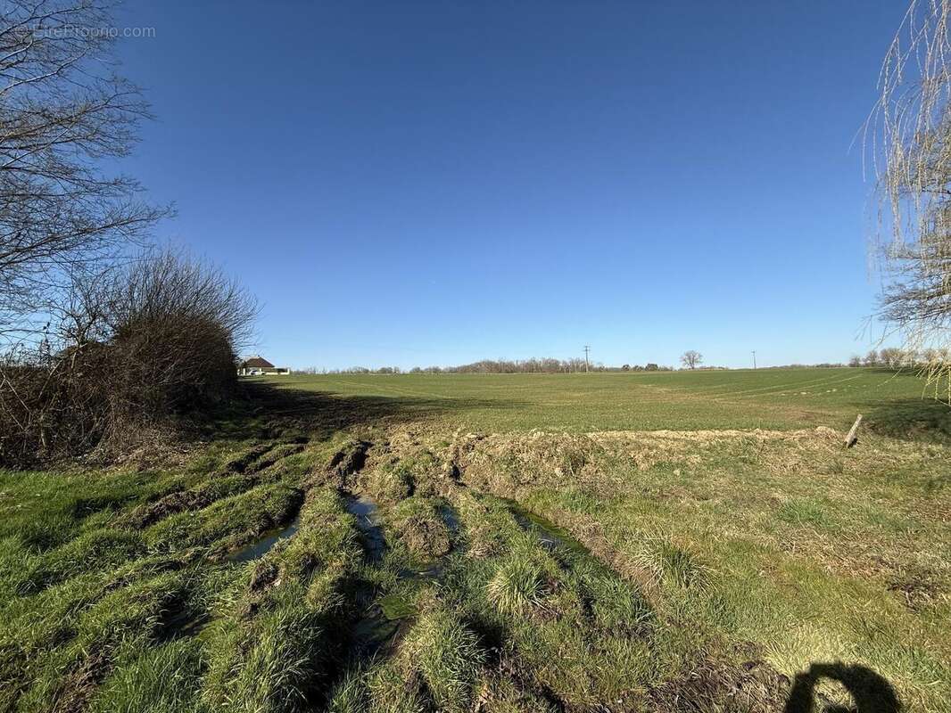 Photo 2 - Terrain à LUSIGNY-SUR-BARSE
