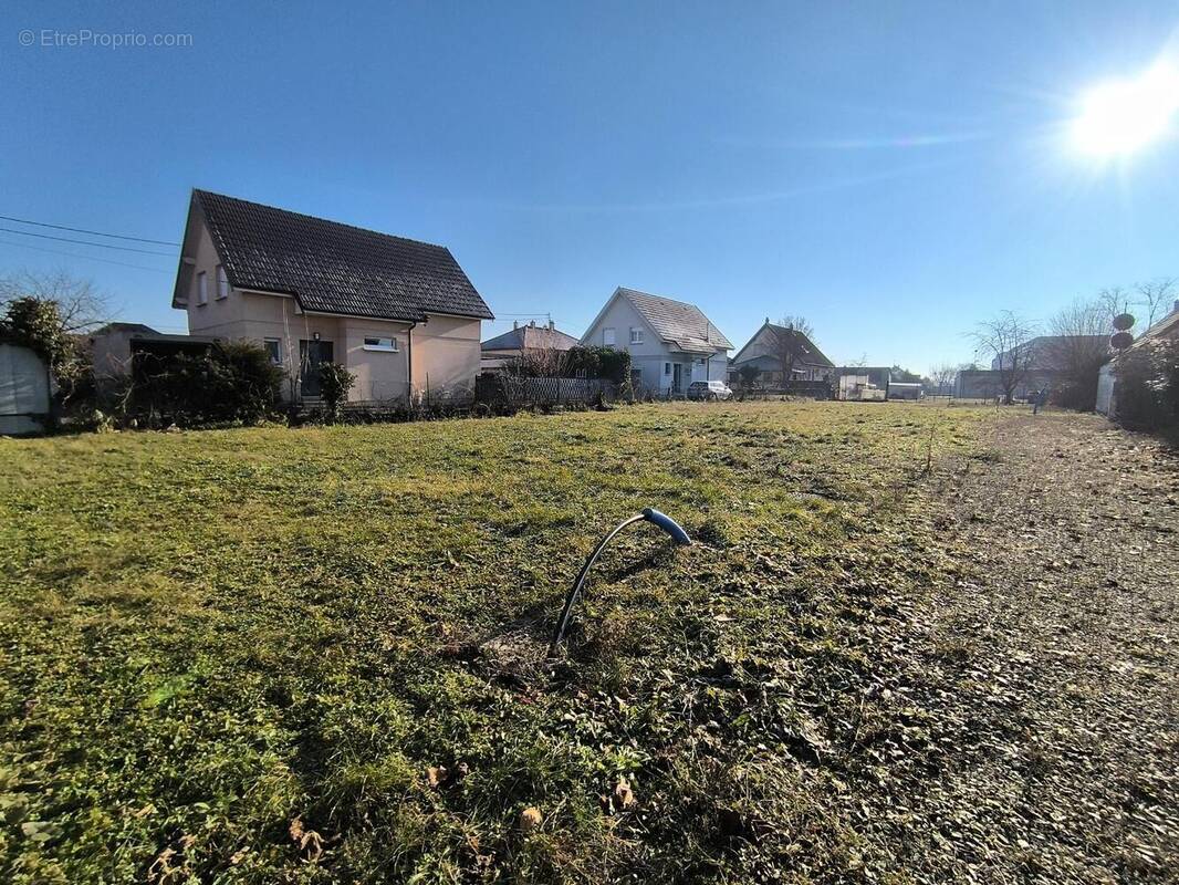 Photo 1 - Terrain à RIXHEIM
