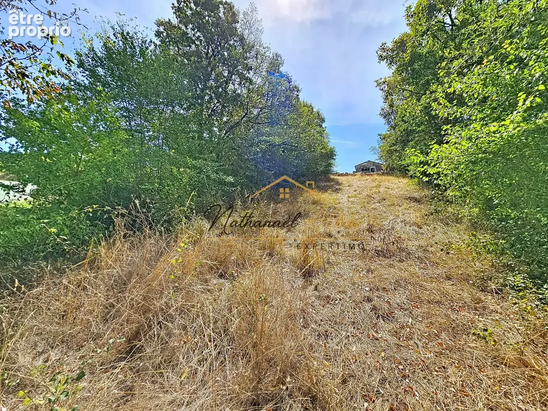 Grand terrain constructible avec vue - photo 12