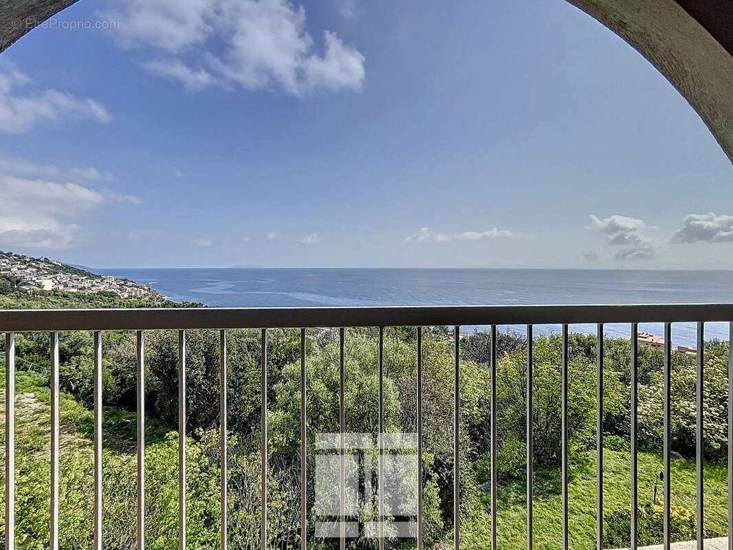 Appartement à SAN-MARTINO-DI-LOTA