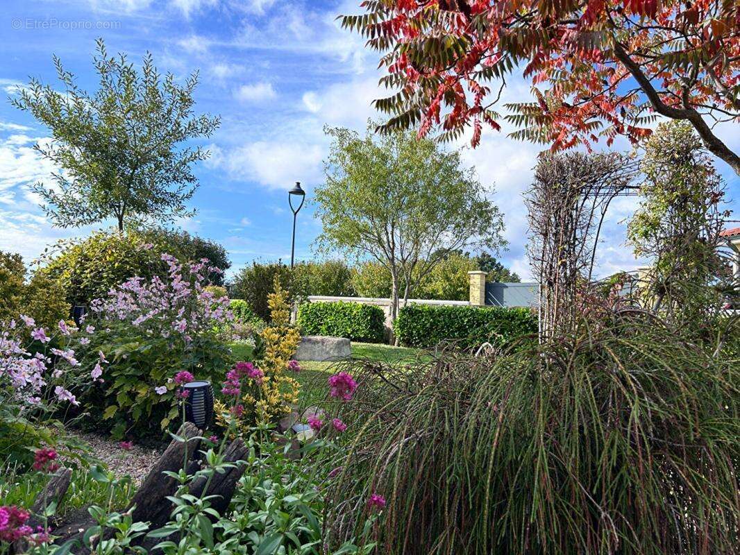 Maison à SAINT-LAURENT-DE-CHAMOUSSET