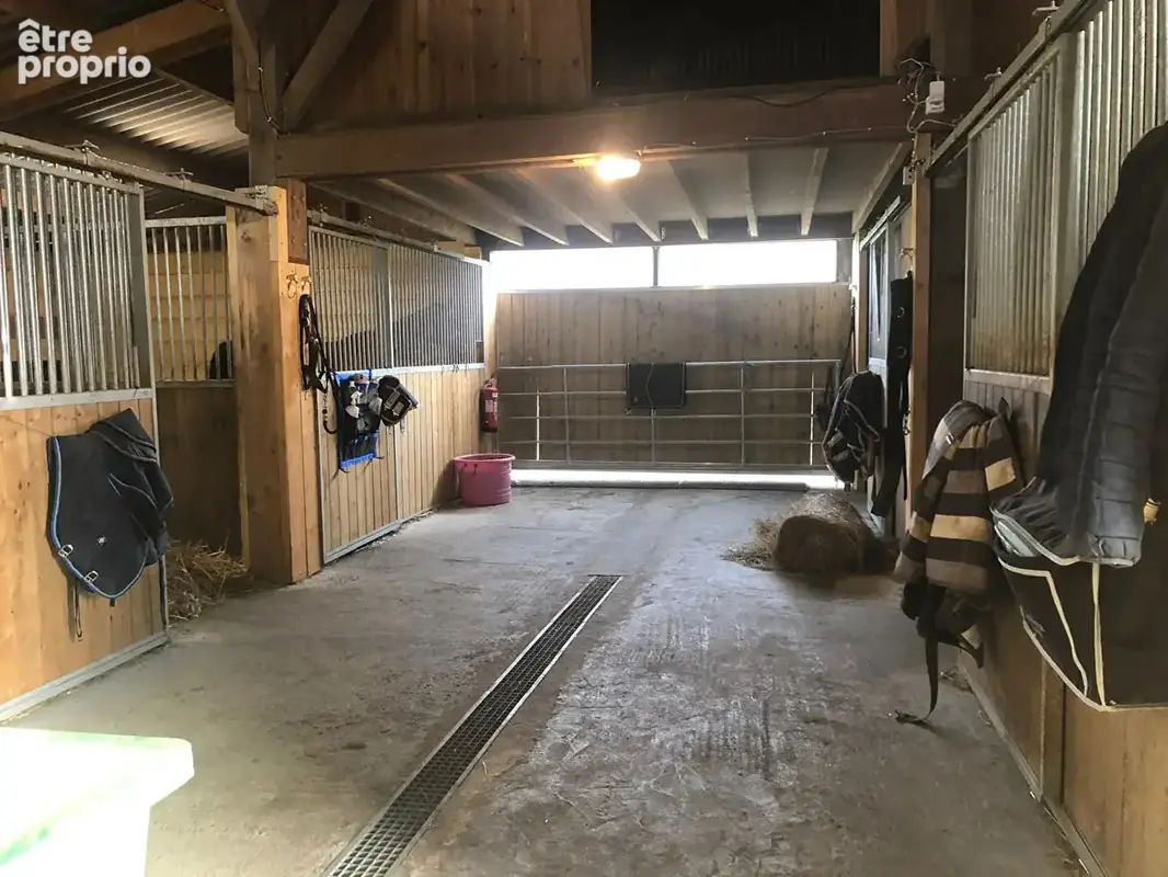Propriete equestre 10 boxes proche  du mele sur sarthe - photo 6