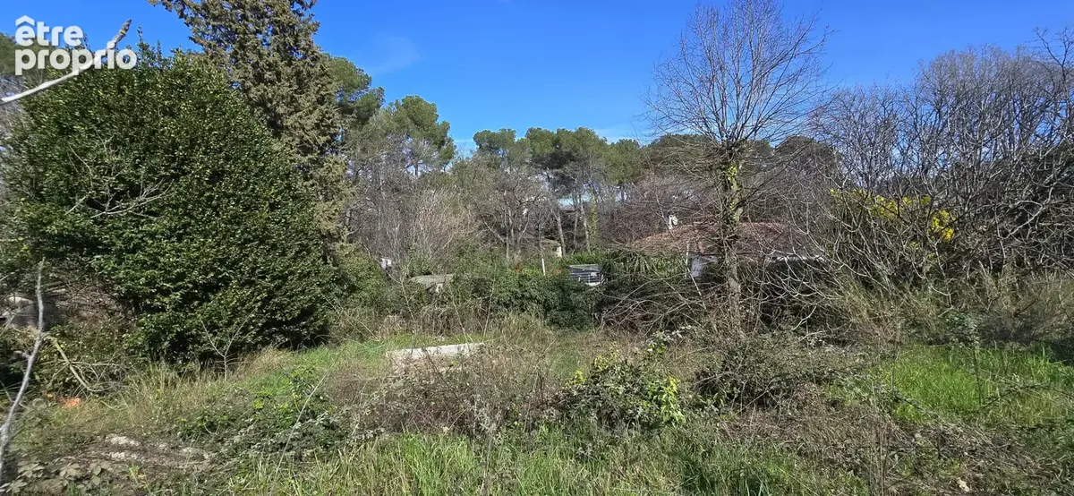 MOUANS-SARTOUX à vendre au calme absolu maison de plain-pied 3 pièces de 79 m2 sur 2.500 m2 de terrain - photo 11