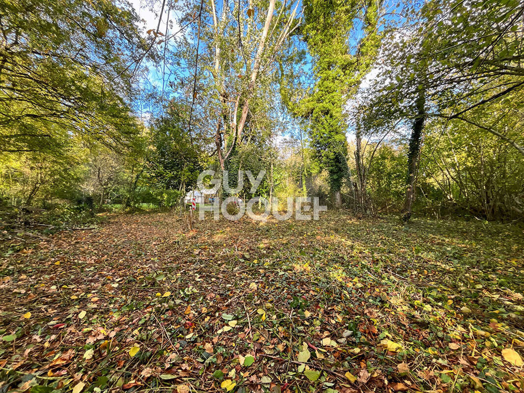 Terrain Courtomer 300 m2 - photo 3