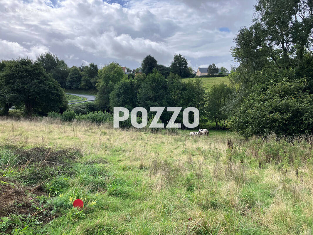 Terrain à SAINT-JEAN-DES-CHAMPS