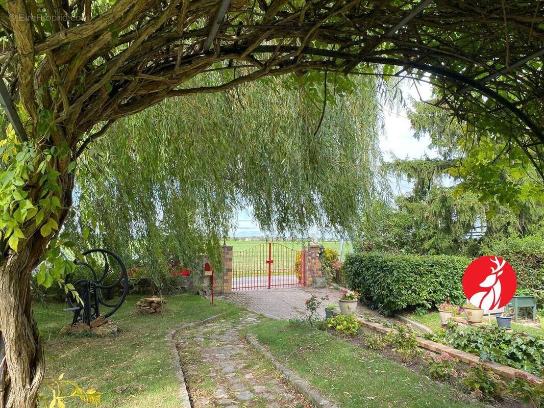 Maison à SAINT-MARTIN-EN-BIERE