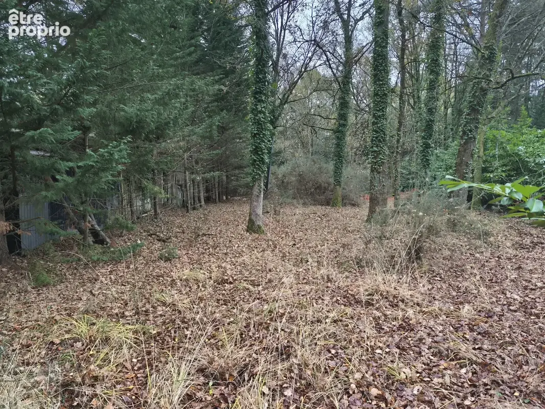 Terrain de loisir en foret au pied du circuit des 24h - photo 3